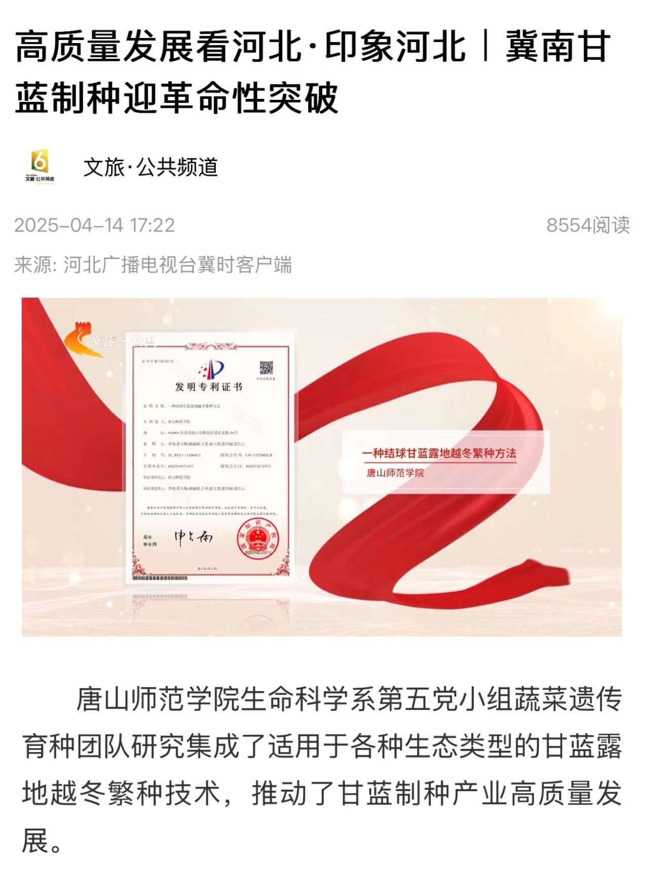 《冀时》——高质量发展看河北·印象河北｜冀南甘蓝制种迎革命性突破