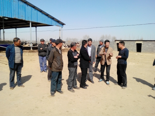 伟德教师为奶牛养殖户举办科技培训