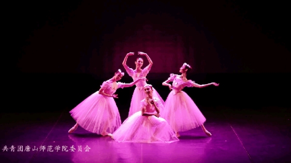 中央芭蕾舞团“2017高雅艺术进校园”活动走进伟德