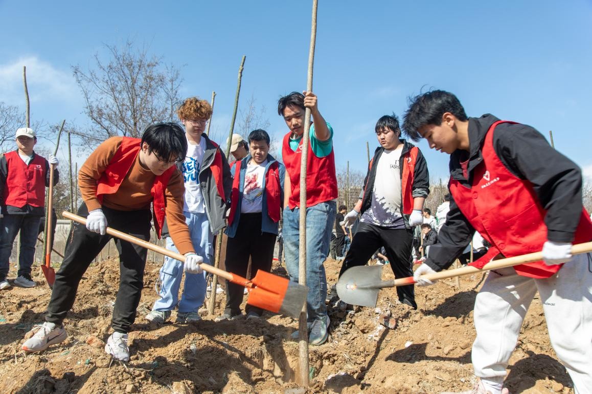 伟德国际victor1946官网开展春季植树活动