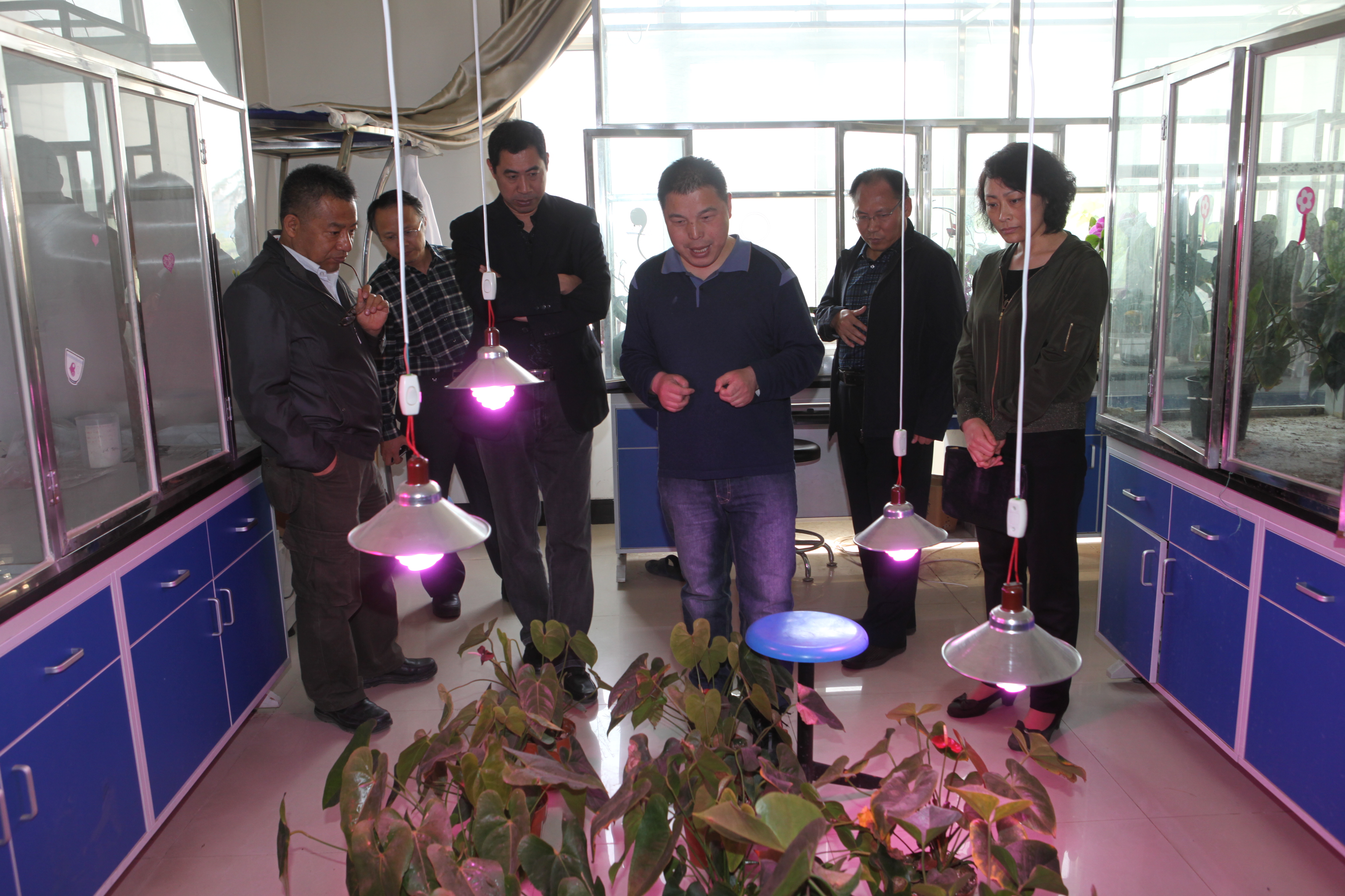 伟德两项唐山市重点实验室项目顺利通过专家验收