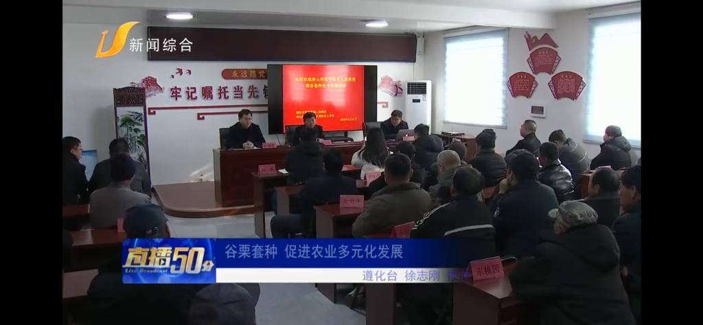 《唐山广播电视台》——伟德国际victor1946官网：谷栗套种 促进农业多元化发展